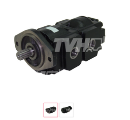[PK333/G5390] TWIN PUMP 36/29 4 BOLTS