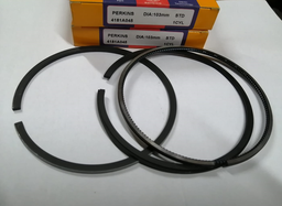 [THRU4181A045] RING KIT STD