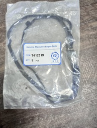 [PRT412319] TAPPED COVER GASKET