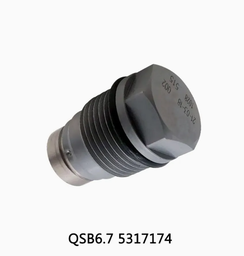 [CH5317174] RELIEF VALVE